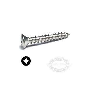   Oval Head Phillips Self Tapping Screws 10 x 1