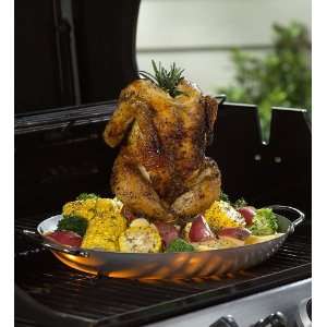  Stainless Steel Chicken Roaster and Marinader: Patio, Lawn 
