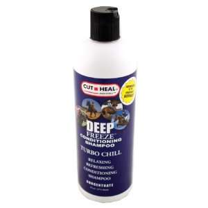  Deep Freeze Conditioning Shampoo Display   009 2290   Bci 