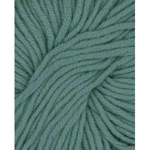  Filatura Di Crosa Zara Plus Yarn 1798 Seafoam Green: Arts 