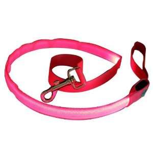    Super Bright Dog Leash with Pink LED Lights, Small: Pet Supplies