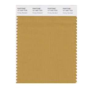  PANTONE SMART 17 1047X Color Swatch Card, Honey Mustard 