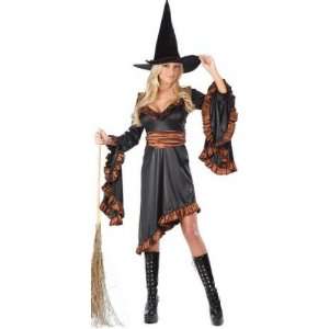  Adult Ruffle Witch Costume: Everything Else