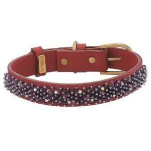  Amethyst on Red Leather Collar: Pet Supplies