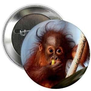  Bad Hair Day Button Funny 2.25 Button by CafePress: Arts 