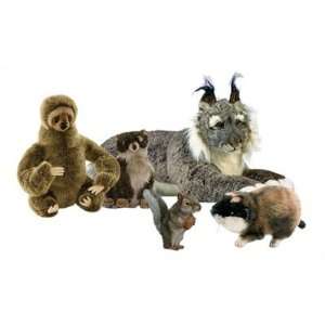  Wilderness Stuffed Animal Collection III Toys & Games