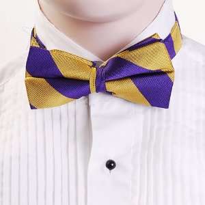  Gold & Purple Stripes Bow Tie 