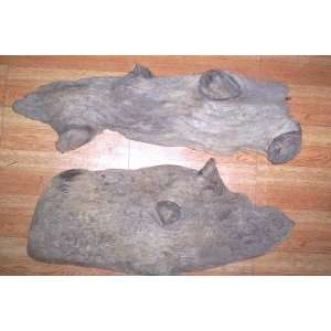   Antique Pieces of Driftwood for Aquarium or Taxidermy 