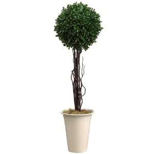  24 Boxwood Topiary Patio, Lawn & Garden