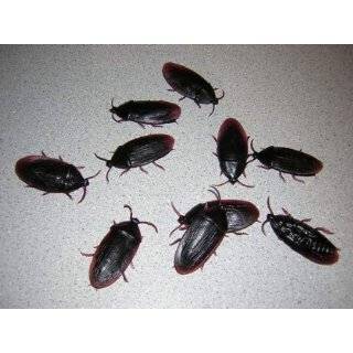 12  Fake Roaches Prank Novelty Cockroach Bugs Look Real