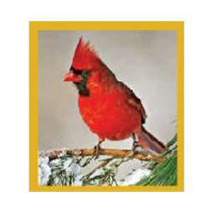  Magnetic Bookmark Cardinal Winter, Beautiful and Colorful 