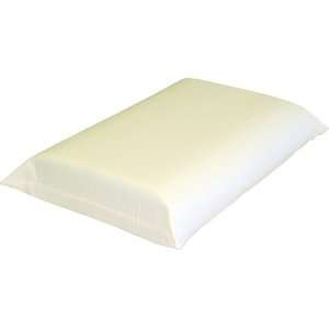  Polar Foam Memory Foam Pillow by Hudson