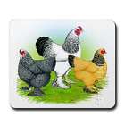 m479 Mouse Pad Mousepad Mat Brahma Chickens