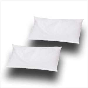  Buckwheat Pillow Set