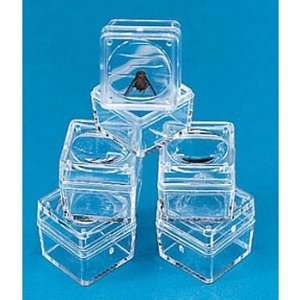 Magnifying Bug Jars, Set of 6  Industrial & Scientific