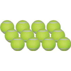   Sports Economy Practice Tennis Balls (Pack of 120)