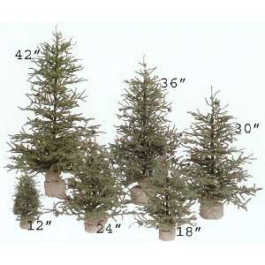   Carmel Pine Christmas Trees with Pinecones and Burlap Sack Base 30