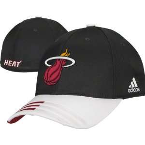 Miami Heat Youth 2010 2011 Official Team Flex Hat: Sports 