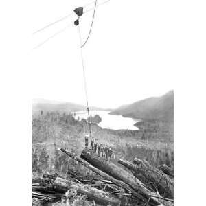  Exclusive By Buyenlarge Logging Scene 12x18 Giclee on 