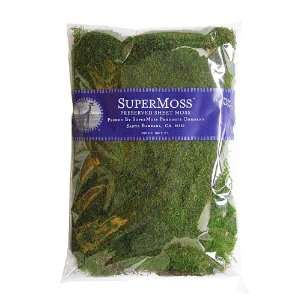  Super Moss 21585 Preserved Sheet Moss, Fresh Green, 32 