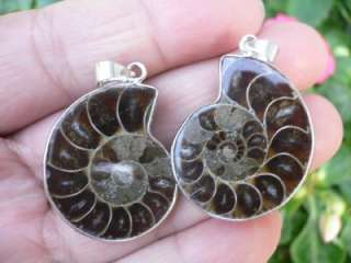 Pair Of Natural Ammonite Fossil Gemstone Pendant S3961  