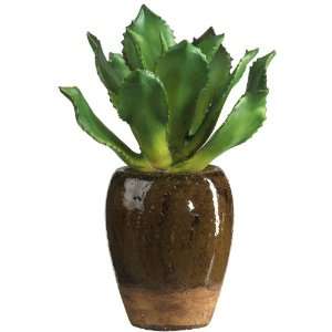  Succulent Silk Plant w/ Ceramic Vase: Home & Kitchen