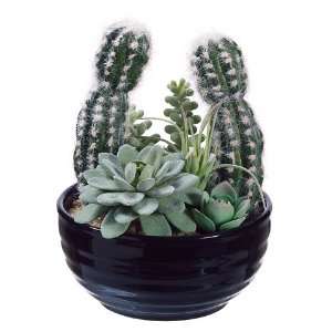   Artificial Cactus/succulent Garden in Ceramic Pot: Home & Kitchen