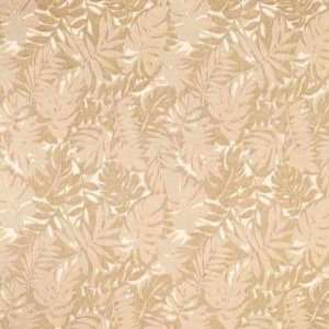  Calyx 16 by Kravet Design Fabric: Home & Kitchen