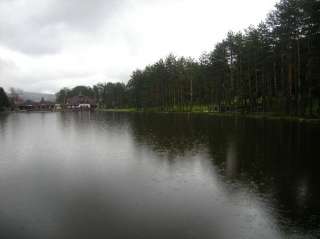 Zelenkada Zlatibor