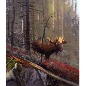  the Timber   Bull Moose Artists Proof Giclee on Paper: Home & Kitchen
