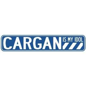   CARGAN IS MY IDOL STREET SIGN: Home Improvement