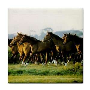  Wild Horses Ceramic Tile Coaster Great Gift Idea: Office 