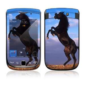   Torch 9800 Decal Skin   Animal Mustang Horse: Everything Else