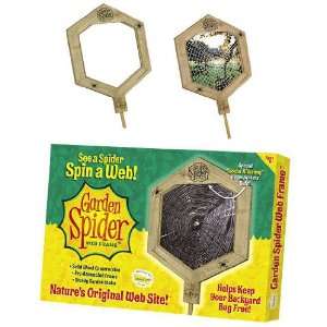  Garden Spider Web Frame Toys & Games