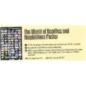    Zoo Med World of Reptiles and Amphibians Poster: Pet Supplies