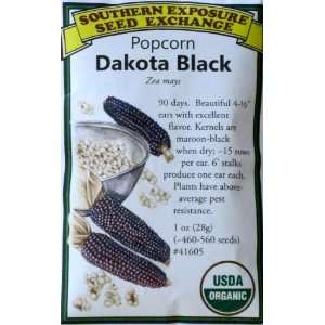   : Popcorn Dakota Black Certified Organic Seeds: Patio, Lawn & Garden