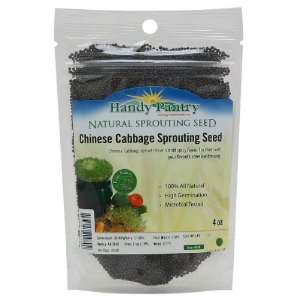  Finest By Handy Pantry Chinese Cabbage Sprouting Seeds 