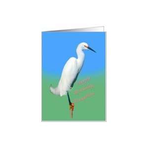  Birthday, Daughter, Snowy Egret Bird Card Toys & Games