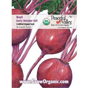  Organic Beet Seed Pack, Early Wonder Tall Patio, Lawn 
