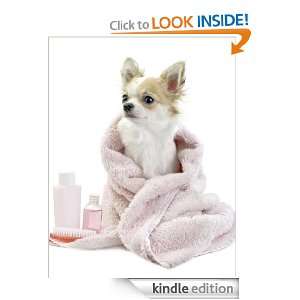 Chihuahua Puppy Care  1 2 3 Step Easy Guide Jackie Pitter  