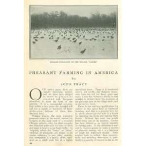  1913 Pheasant Farming River Forest IL Wallace Evans 