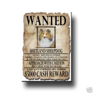SHETLAND SHEEPDOG Wanted Poster MAGNET No 1 Sheltie  