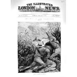 1881 TRANSVAAL WAR BOERS MARKSMEN SHOOTING ANIMALS 