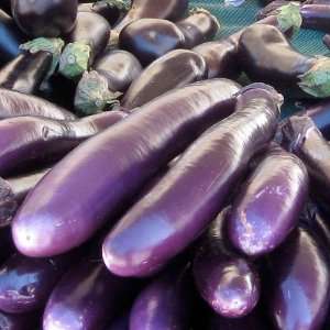  40 Seeds, Eggplant Long Purple (Solanum melongena) Seeds 