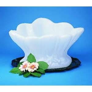  Ice Mold, Clam Shell Shaped Ice Mold: Home & Kitchen