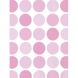  Lots of Dots Pink Wallpaper in Kidding Around