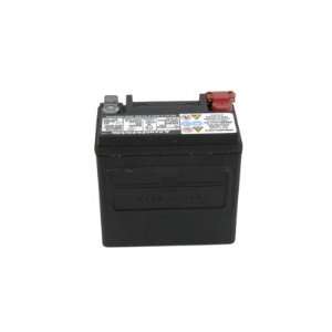 OE AGM 12 Volt 310 Cold Cranking Amps Sealed Maintenance Free Battery 