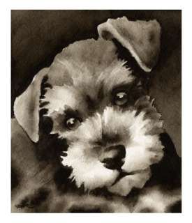 MINIATURE SCHNAUZER PUPPY Dog ART Signed by Artist DJR  