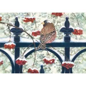  Marian Heath Boxed Christmas Cards, Bird and Winterberries 