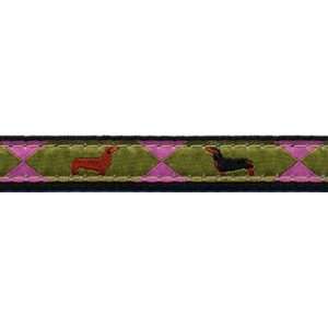  Dachshunds on Green Collar   Extra Small